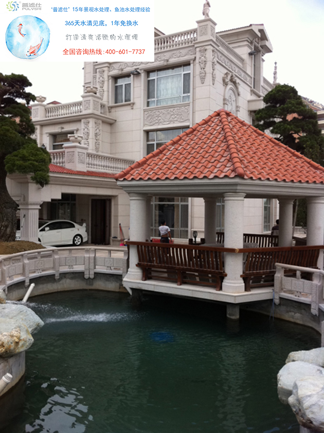 广州孙先生的别墅景观水处理后的水质清澈见底